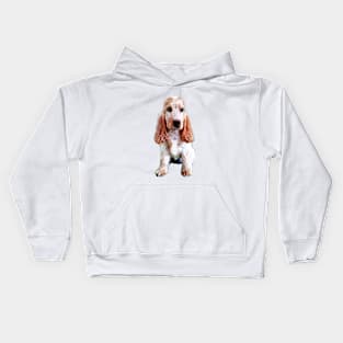 Cocker Spaniel Orange Roan Puppy English Cocker Kids Hoodie